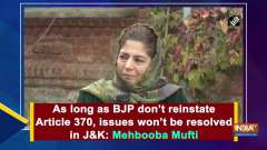 As long as BJP don't reinstate Article 370, issues won't be resolved in J&K: Mehbooba Mufti