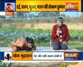 Try Bottlegourd, Tulsi and Black Pepper's remedy to deal with prostate problem