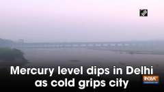 Mercury level dips in Delhi as cold grips city