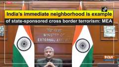 India's immediate neighborhood is example of state-sponsored cross border terrorism: MEA