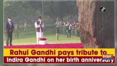Rahul Gandhi pays tribute to Indira Gandhi on her birth anniversary