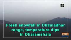Fresh snowfall in Dhauladhar range, temperature dips in Dharamshala