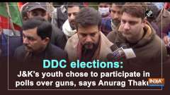 DDC elections: JandK's youth chose to participate in polls over guns, says Anurag Thakur