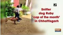 Sniffer dog Ruby 'cop of the month' in Chhattisgarh