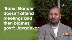 'Rahul Gandhi doesn't attend meetings and then blames govt': Javadekar
