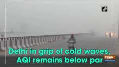 Delhi in grip of cold waves, AQI remains below par