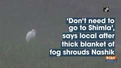 'Don't need to go to Shimla', says local after thick blanket of fog shrouds Nashik