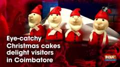 Eye-catchy Christmas cakes delight visitors in Coimbatore