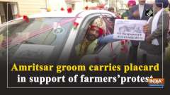 Amritsar groom carries placard in support of farmers' protest