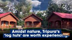 Amidst nature, Tripura's log huts' are worth experiencing