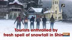 Tourists enthralled by fresh spell of snowfall in Shimla