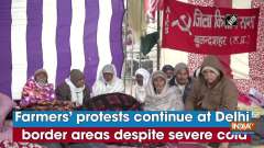 Farmers' protests continue at Delhi border areas despite severe cold