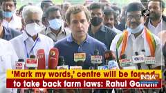 'Mark my words,' centre will be forced to take back farm laws: Rahul Gandhi