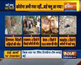 Bird flu: 1,800 migratory birds found dead in Himachal, outbreak reported in four states now