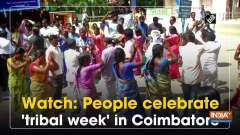 Watch: People celebrate 'tribal week' in Coimbatore
