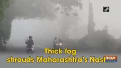 Thick fog shrouds Maharashtra's Nashik