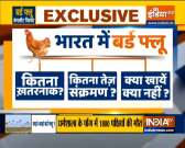 How bad is the bird flu outbreak in India?