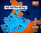 How serious is the bird flu outbreak in India, watch Ground Report