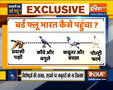 Urban pests are aggravating situation of Bird flu outbreak