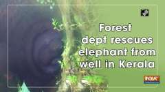 Forest dept rescues elephant from well in Kerala