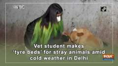 Vet student makes 'tyre beds' for stray animals amid cold weather in Delhi