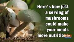 Here's how just a serving of mushrooms could make your meals more nutritious
