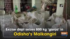 Excise dept seizes 800 kg 'ganja' in Odisha's Malkangiri