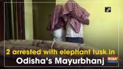 2 arrested with elephant tusk in Odisha's Mayurbhanj