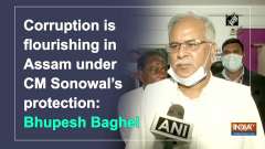 Corruption is flourishing in Assam under CM Sonowal's protection: Bhupesh Baghel