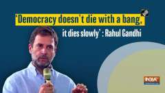 'Democracy doesn't die with a bang, it dies slowly': Rahul Gandhi