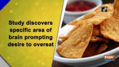 Study discovers specific area of brain prompting desire to overeat