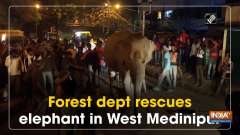 Forest dept rescues elephant in West Medinipur