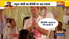 Rahul Gandhi Attacks BJP In Assam, says- 'BJP promotes hatred to create divisions among people' 