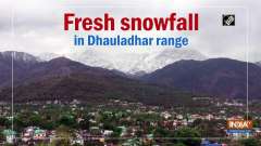 Fresh snowfall in Dhauladhar range