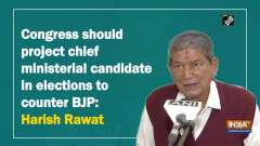 Congress should project chief ministerial candidate in elections to counter BJP: Harish Rawat