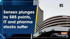 Sensex plunges by 585 points, IT and pharma stocks suffer