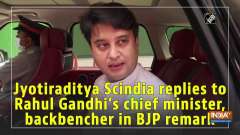 Jyotiraditya Scindia replies to Rahul Gandhi's chief minister, backbencher in BJP remark