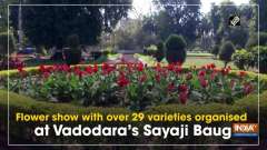 Flower show with over 29 varieties organised at Vadodara's Sayaji Baug