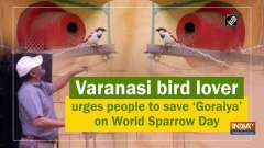 Varanasi bird lover urges people to save 'Goraiya' on World Sparrow Day