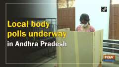 Local body polls underway in Andhra Pradesh