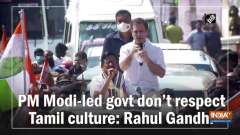 PM Modi-led govt don't respect Tamil culture: Rahul Gandhi