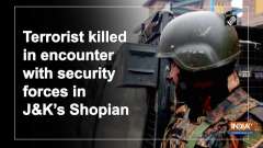 Terrorist killed in encounter with security forces in JandK's Shopian