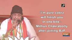 'I'm pure cobra, will finish you in one bite': Mithun Chakraborty after joining BJP