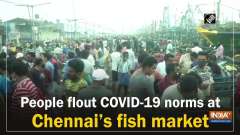 People flout COVID-19 norms at Chennai's fish market