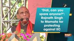 'Didi, can you spare anyone?': Rajnath Singh to Mamata for protesting against EC
