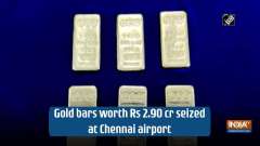 	Gold bars worth Rs 2.90 cr seized at Chennai airport