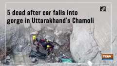 5 dead after car falls into gorge in Uttarakhand's Chamoli