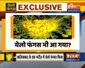 After black and white it&rsquo;s now yellow fungus is reported in Ghaziabad