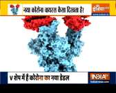Researchers capture picture of new variant of coronavirus