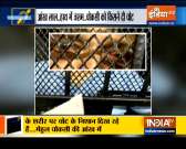 Special News: Picture of Mehul Choksi from Dominica jail surfaces show him with injury marks